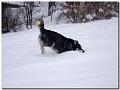 080 Februar 2010 209